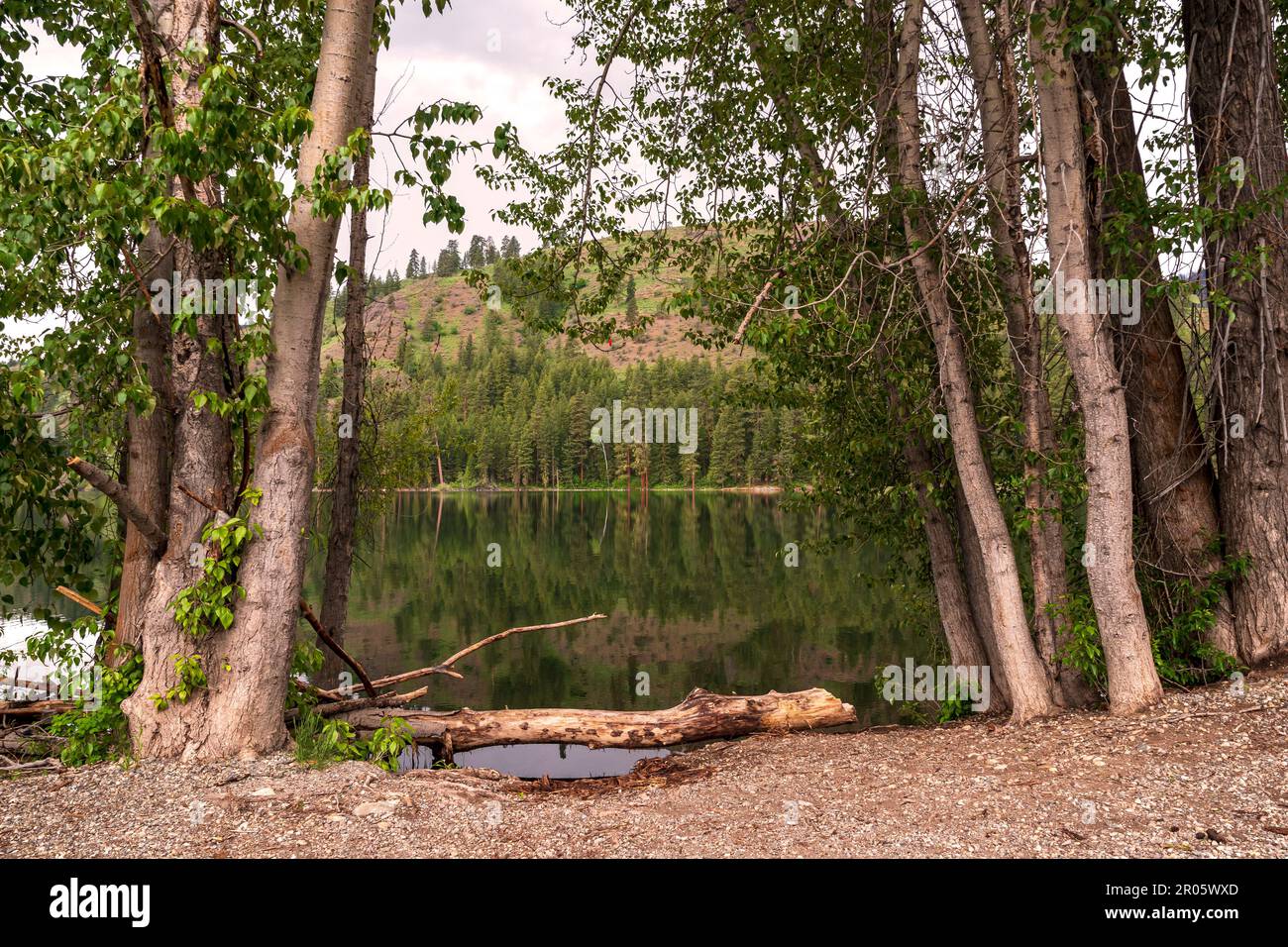 Patterson Lake is a large freshwater lake in Okanogan County