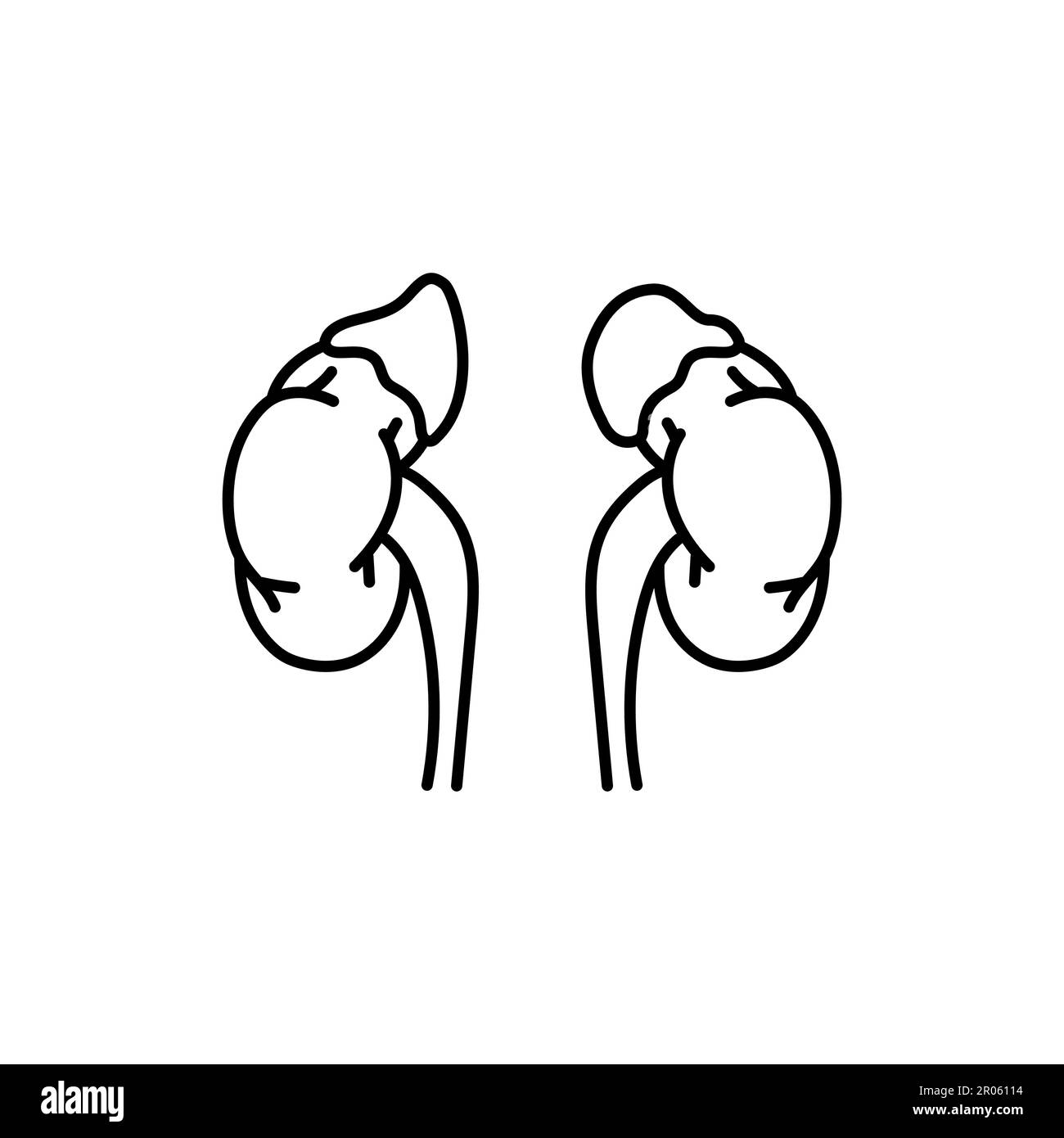 Addison’s or Cushing’s syndrome black line icon. Autoimmune diseases. Pictogram for web page, mobile app, promo. Stock Vector