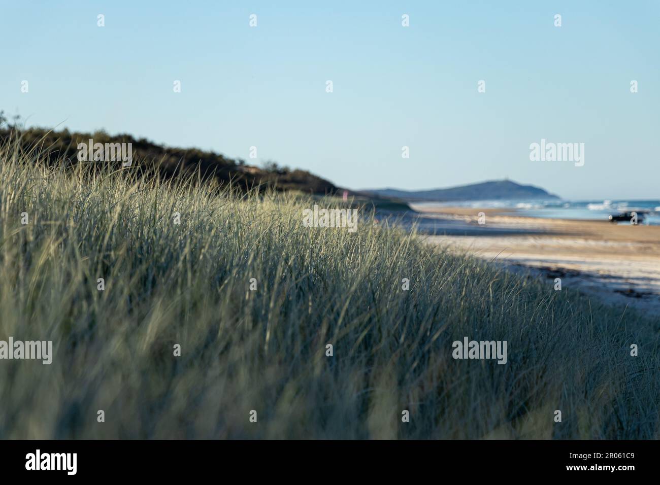 Beach and Grassy Sand Dunes in the Afternoon on the Beach of Moreton Island, Queensland Australia Stock Photo