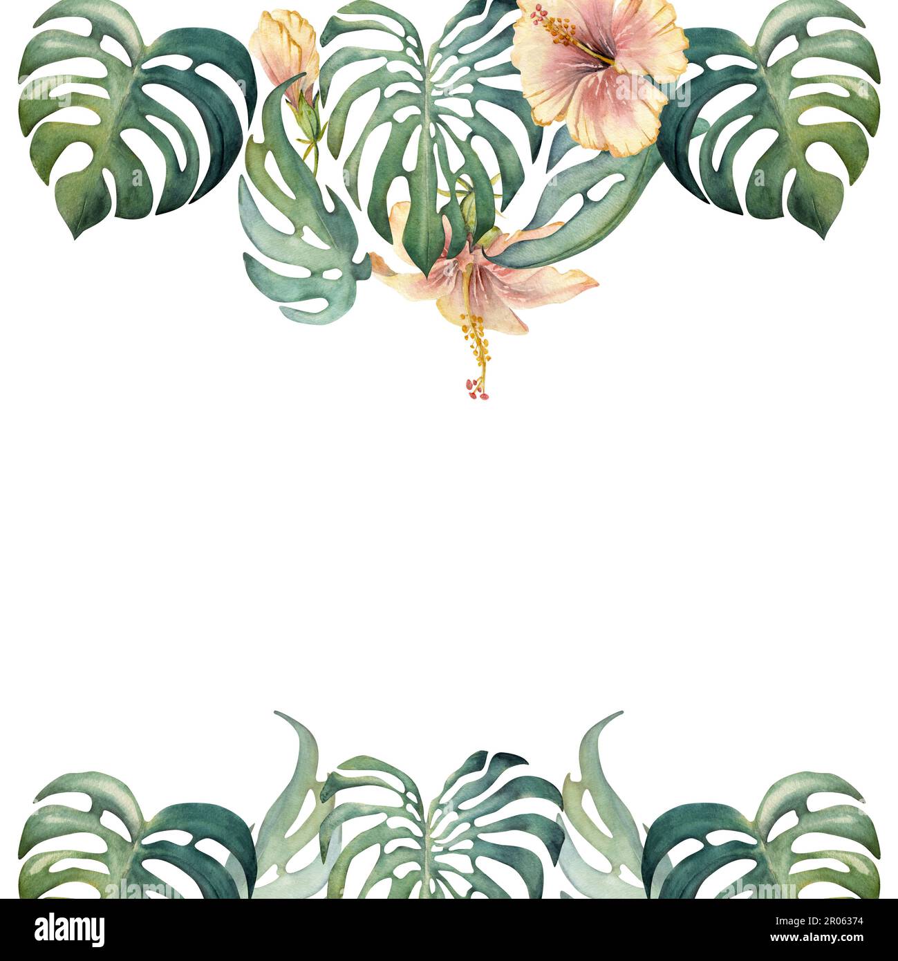 Hand drawn watercolor exotic monstera leaves and hibiscus flowers ...