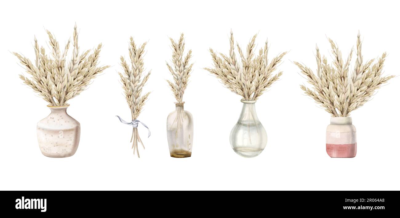 Watercolor wheat bouquets in glass and ceramic vases illustration set isolated on white background for harvest compositions in pastel colors, Shavuot Stock Photo