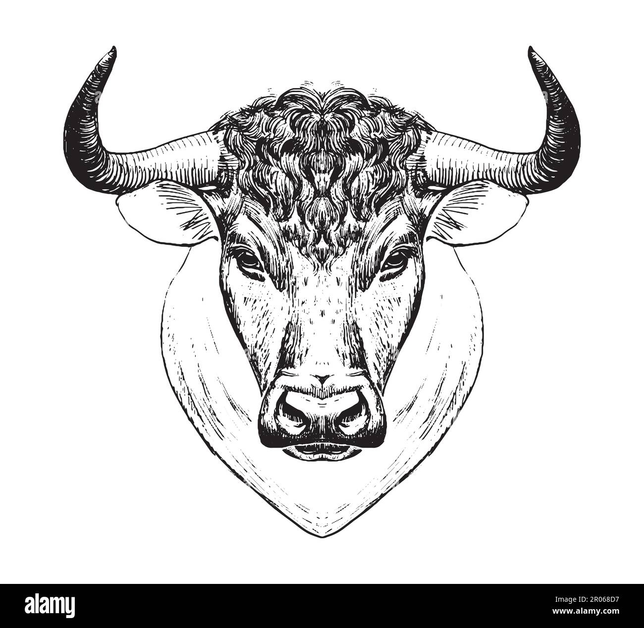 Domestic ox Stock Vector Images - Alamy
