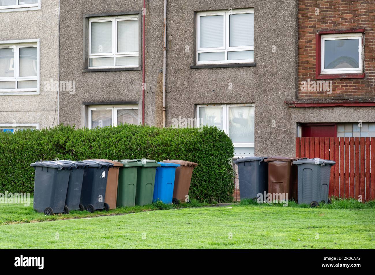 Wheelie bins in row for refuge collection outside council residential building Stock Photo Alamy