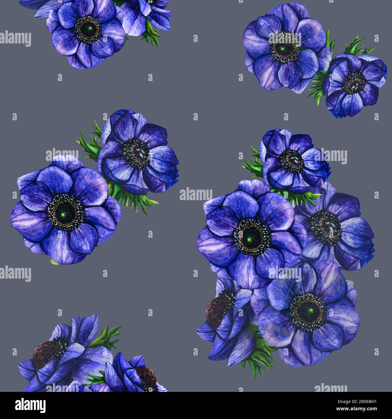 Hand drawn watercolor seamless pattern flowers violet anemone on white ...