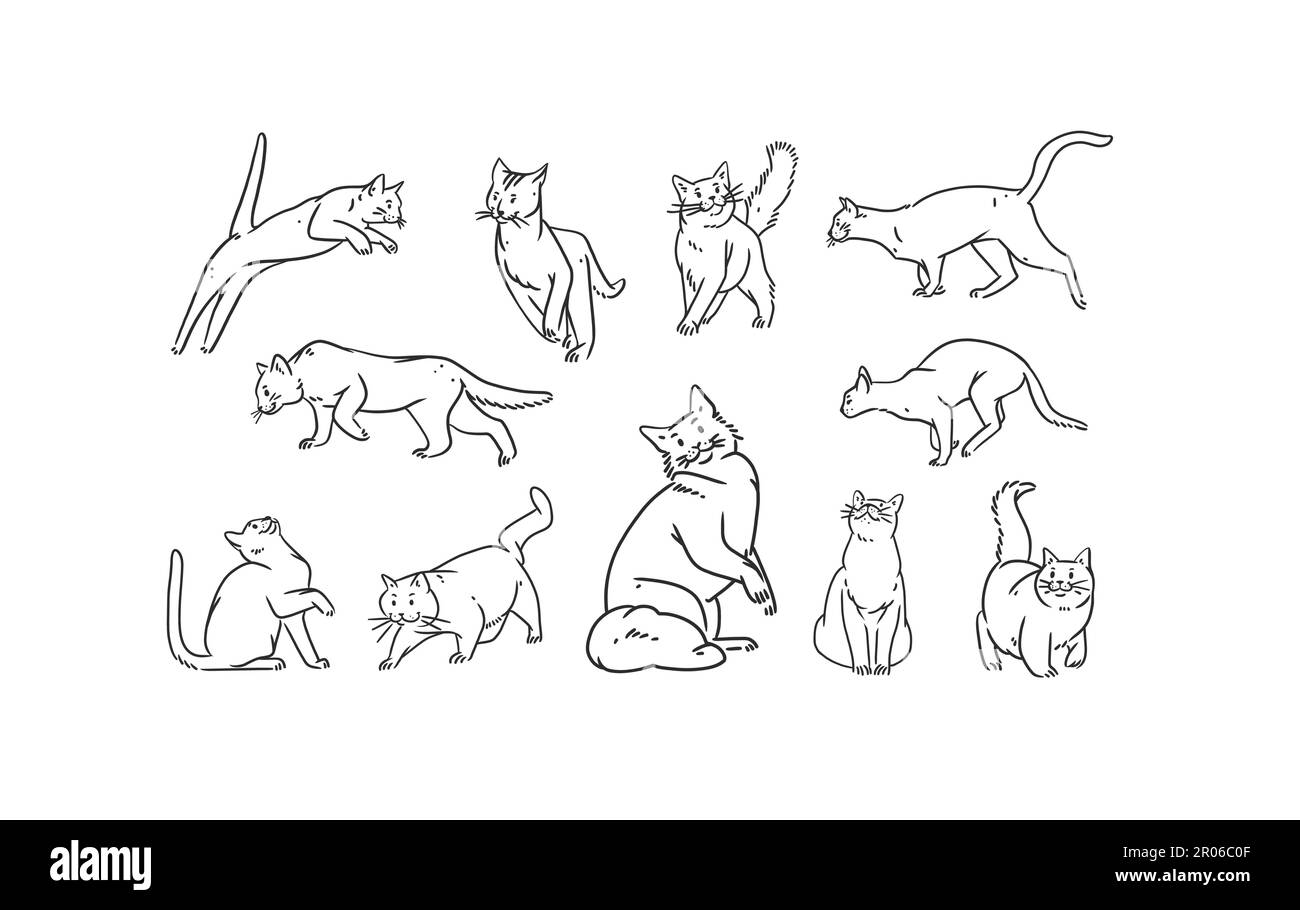 Hand drawn vector abstract graphic line art collection set with adorable cute cartoon cats character.Vector illustration of funny cartoon outline cat Stock Vector