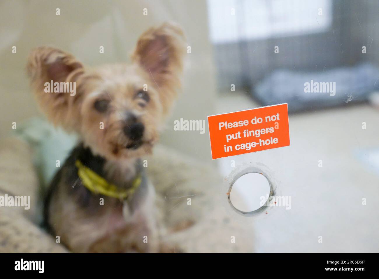 Aspca kennel cheap