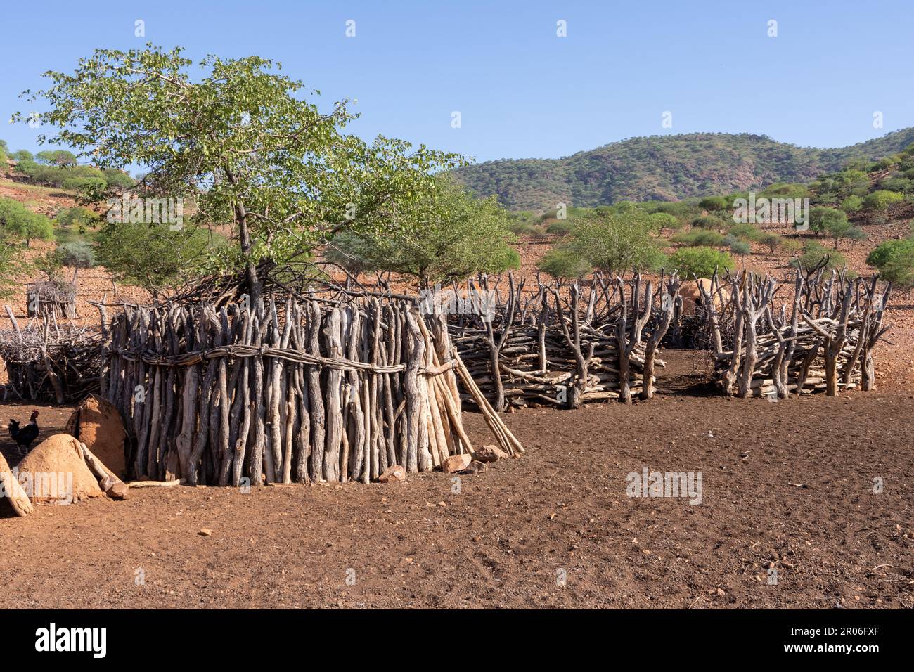 hut of Himba people in Namibia Stock Photo