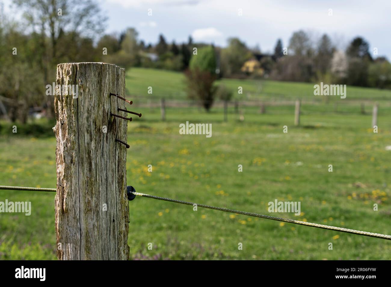 Detail Photo, Pasture Fence With Wooden Stake, Landscape In Berlin Lübars, Berlin, Germany Stock Detail Photo, Pasture Fence With Wooden Stake, Landscape In Berlin Lübars, Berlin, Germany Stock