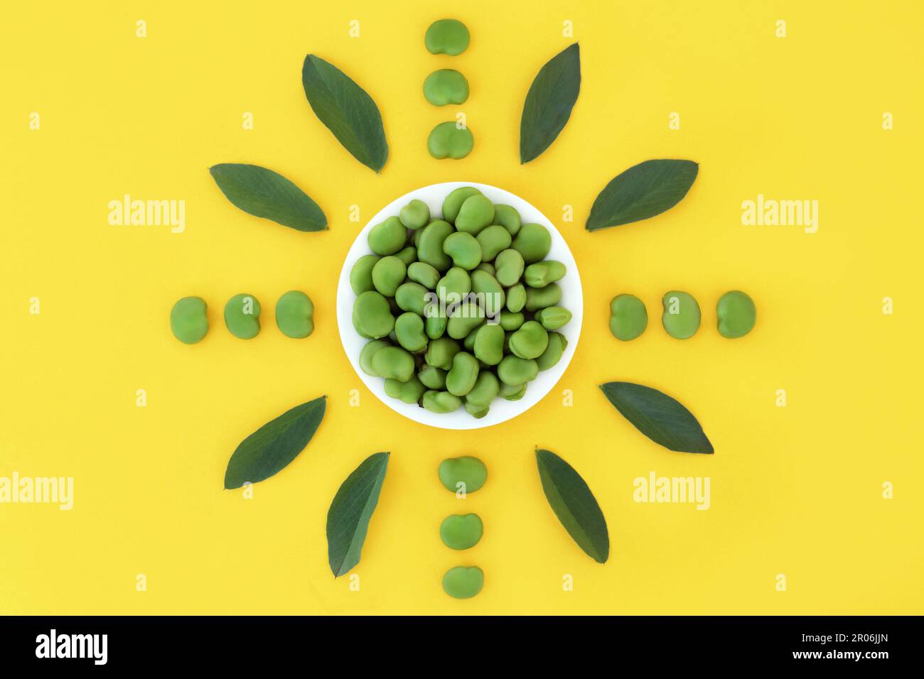 Broad bean green vegetable healthy food high in folate, fibre, antioxidants, potassium and