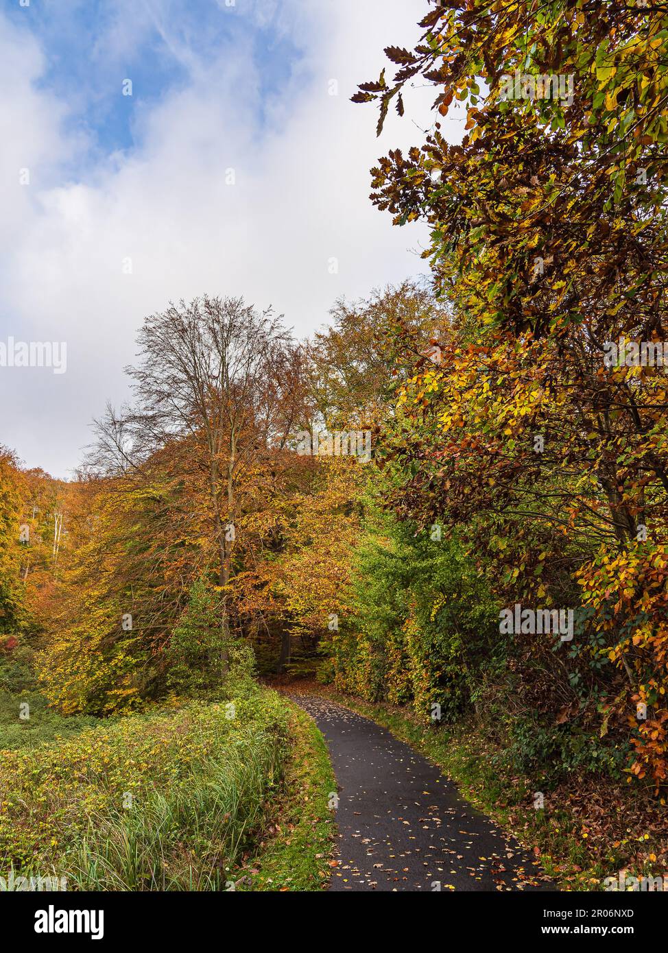 Landscape in autumn in the Feldberger Seenlandschaft, Germany. Stock Photo