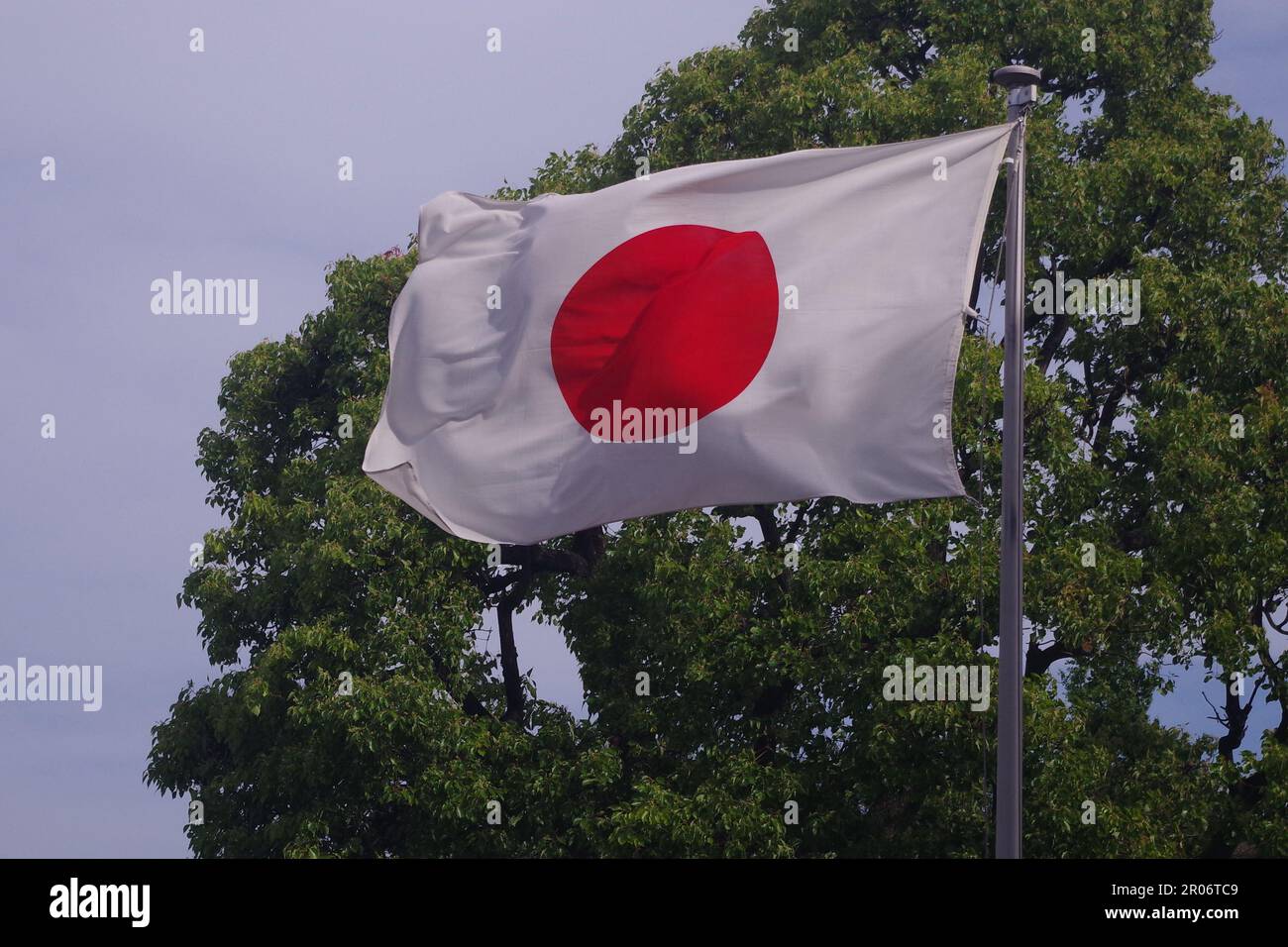 Flag of Japan blowing in the Wind Stock Photo Alamy