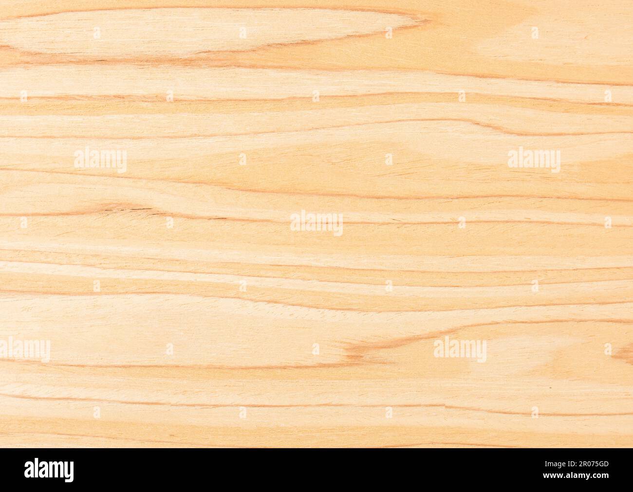 Natural wood background.Light yellow olive wood veneer with stripes