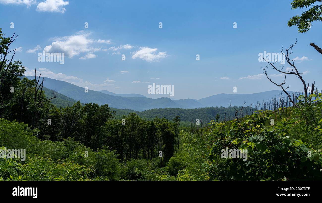 An aerial view of a lush natural landscape featuring rolling hills ...