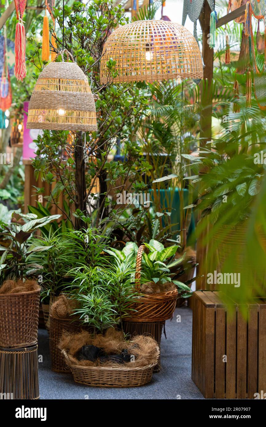 Beautiful indoor various types of plants and pendant lights decoration ...