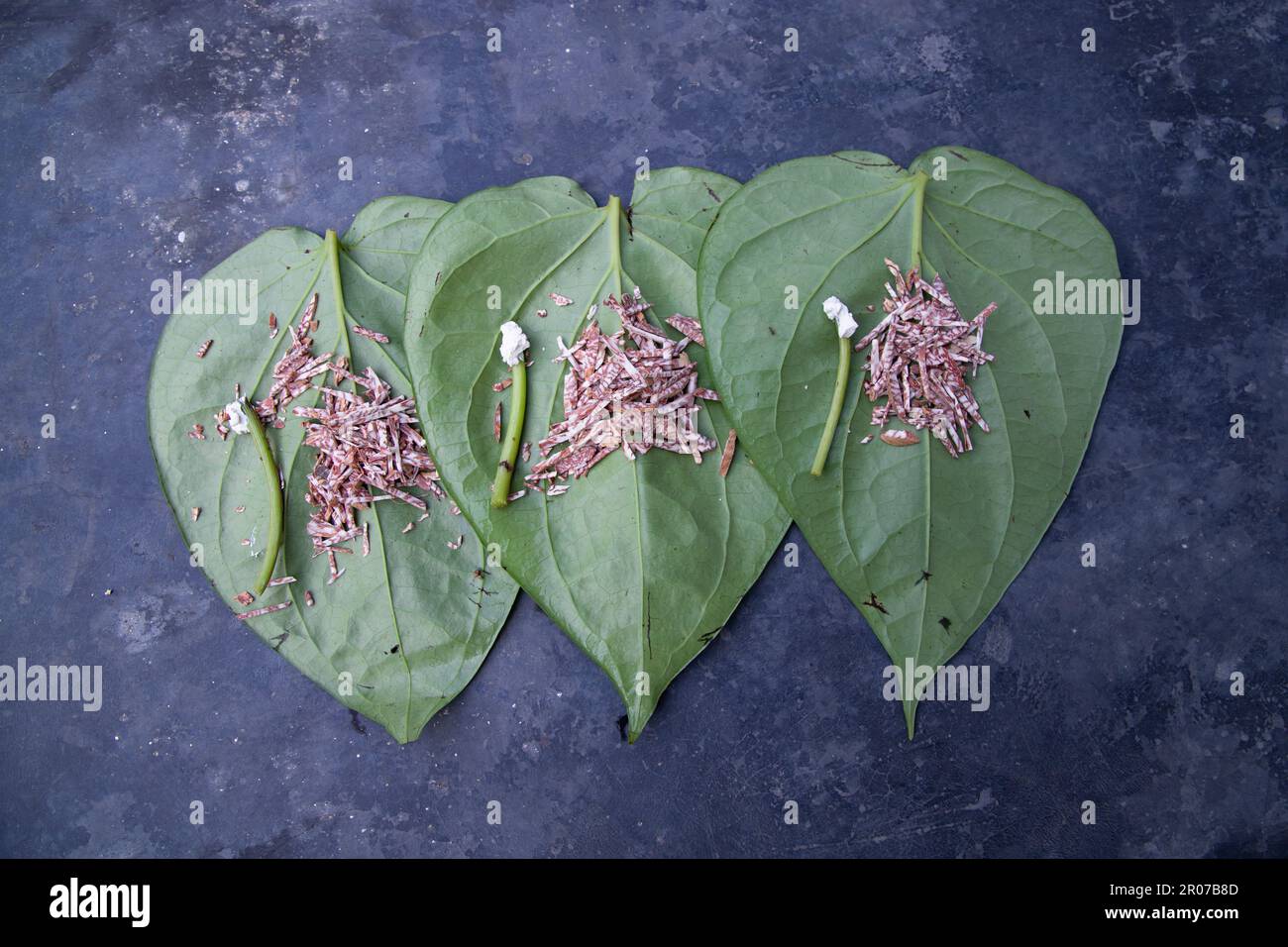 Decoration Green betel Leaf on the concrete floor with betel nut and lime Stock Photo