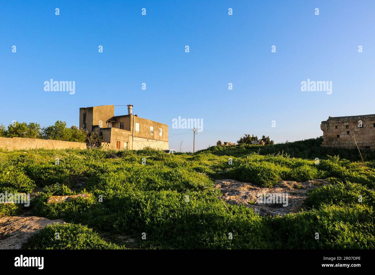 Palestine vector hires stock photography and images Alamy