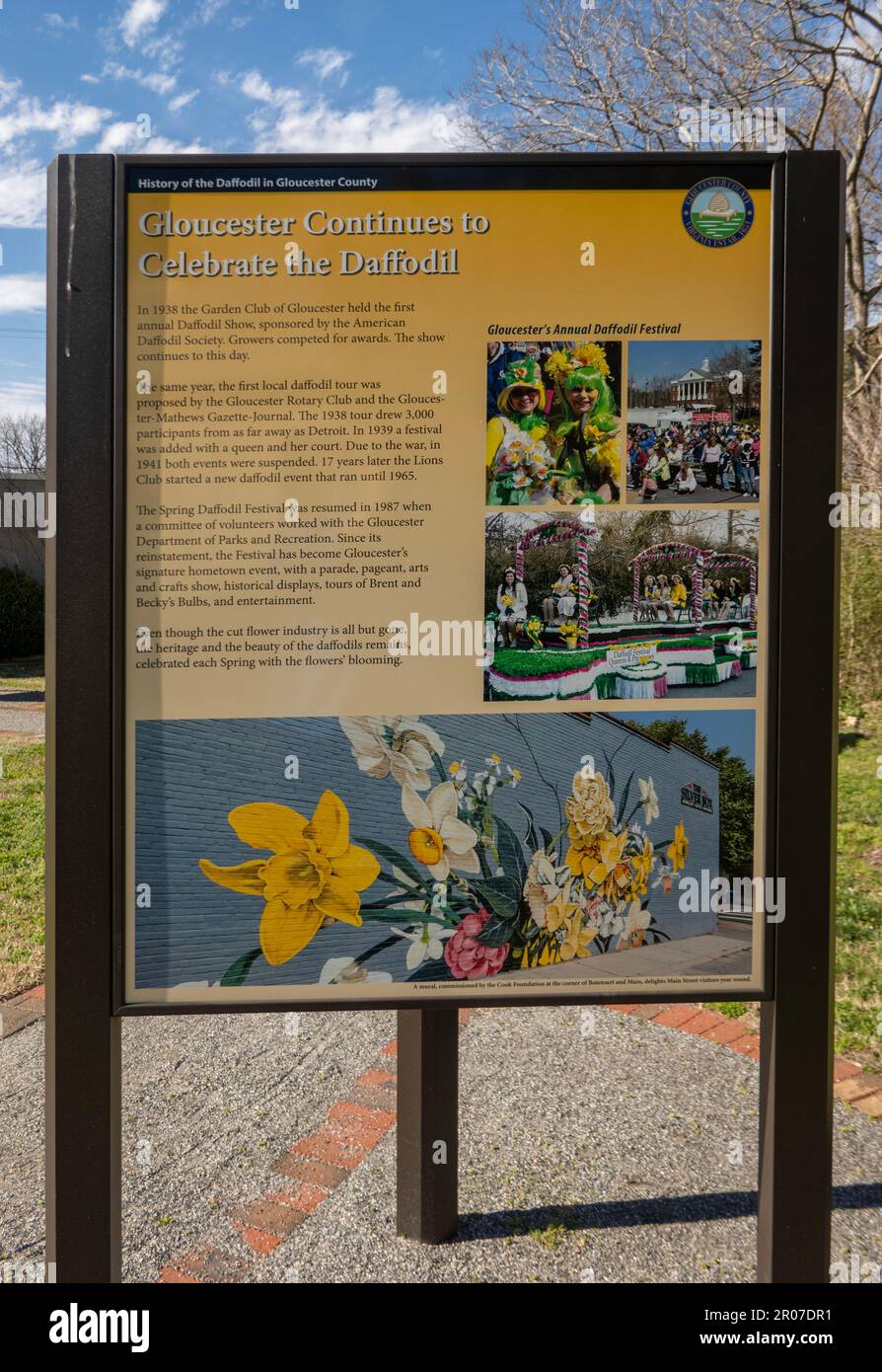Gloucester continues to celebrate the daffodil festival in Virginia