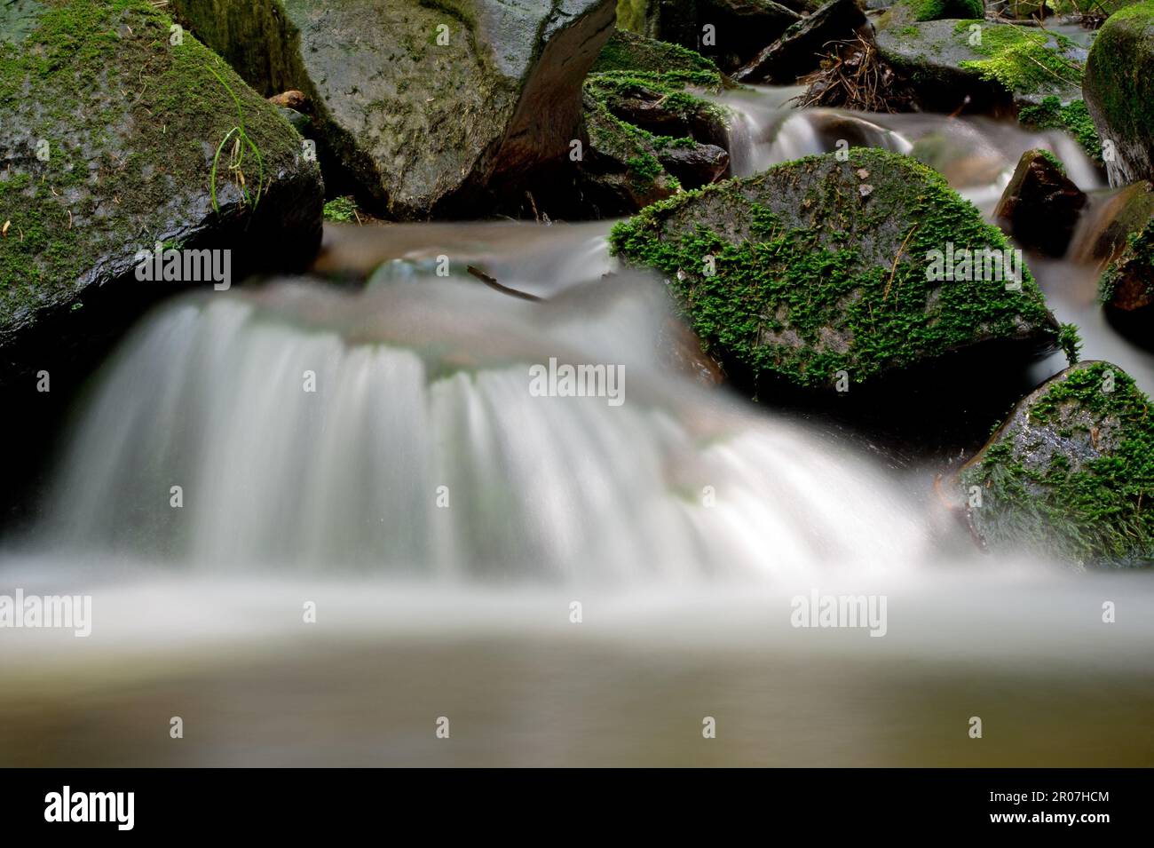 Small waterfalls of the river Divoka Orlice in Czech Republic Stock ...