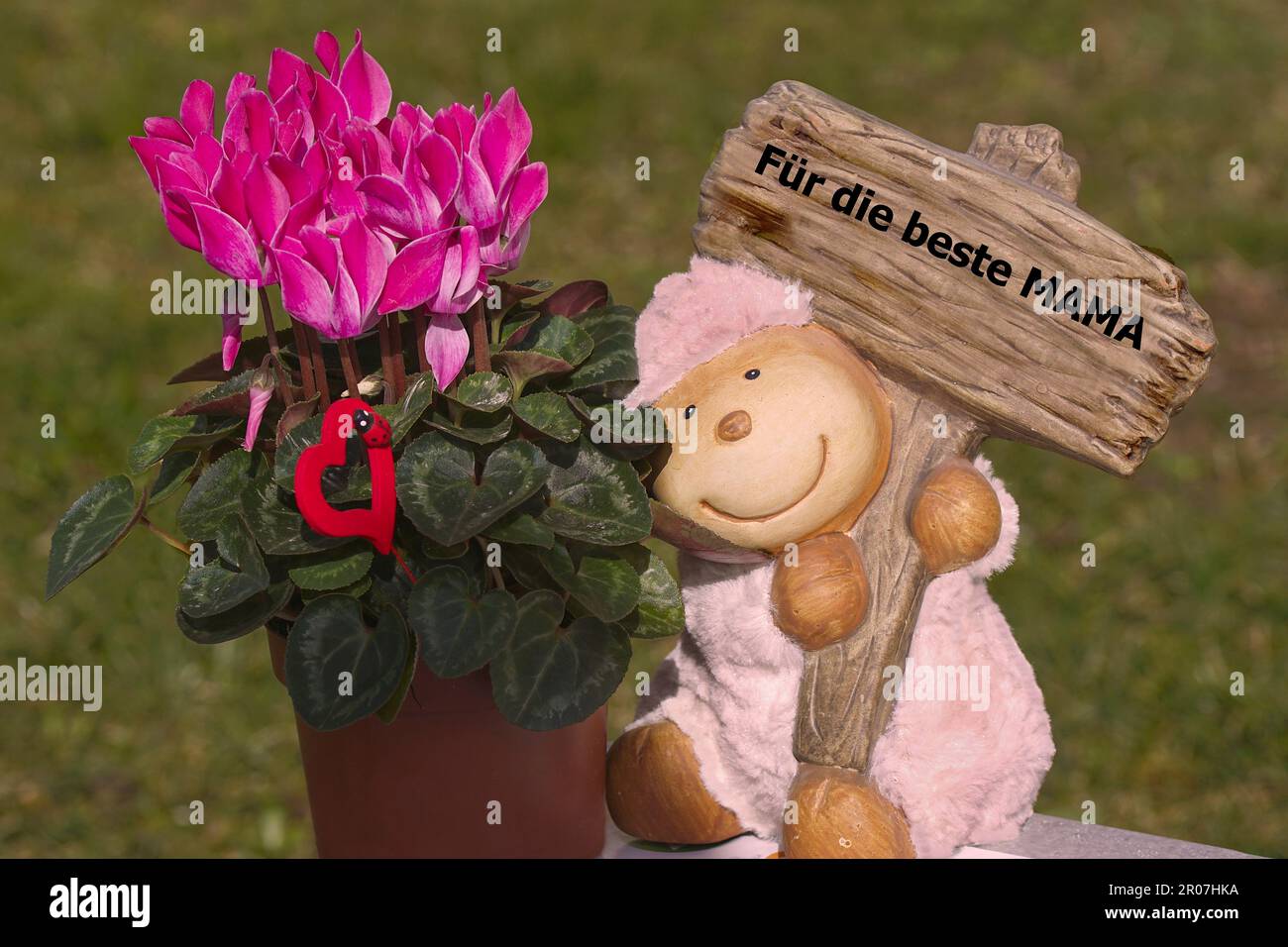 'Beste MAMA' Alpenveilchen mit Schäfchen u rotem Herzchen Stock Photo