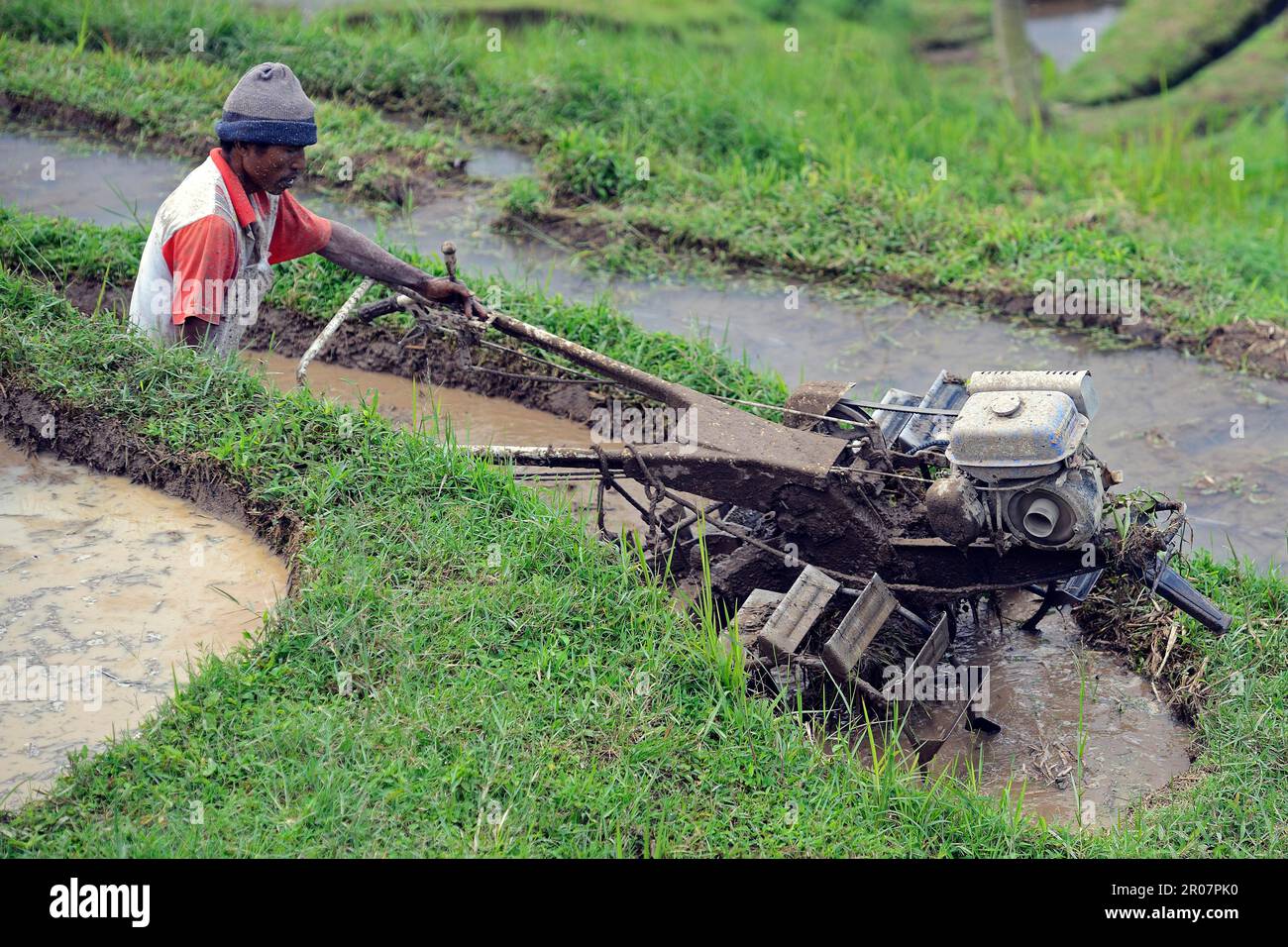 Planting Tilling Rice Rice farmer tilling rice field with machine, rice terraces of Jatiluwih ...