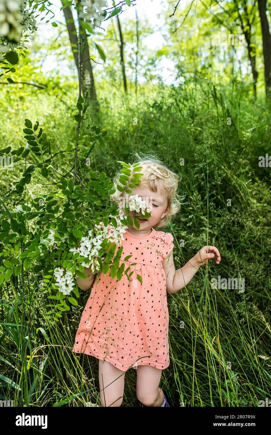 A child with allergies sniffs acacia flowers in the park during the