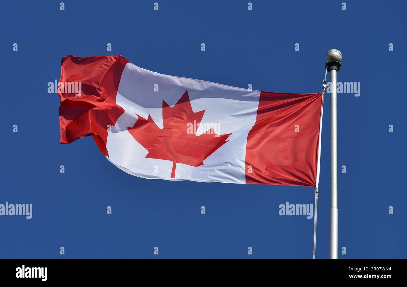 Canadian flag, Toronto, Ontario, Canada Stock Photo