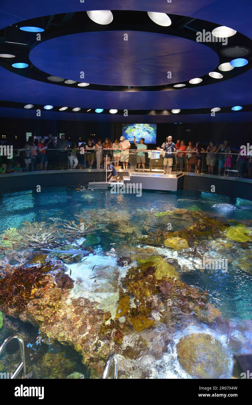 New England Aquarium, Central Wharf, Boston, Massachusetts, USA Stock