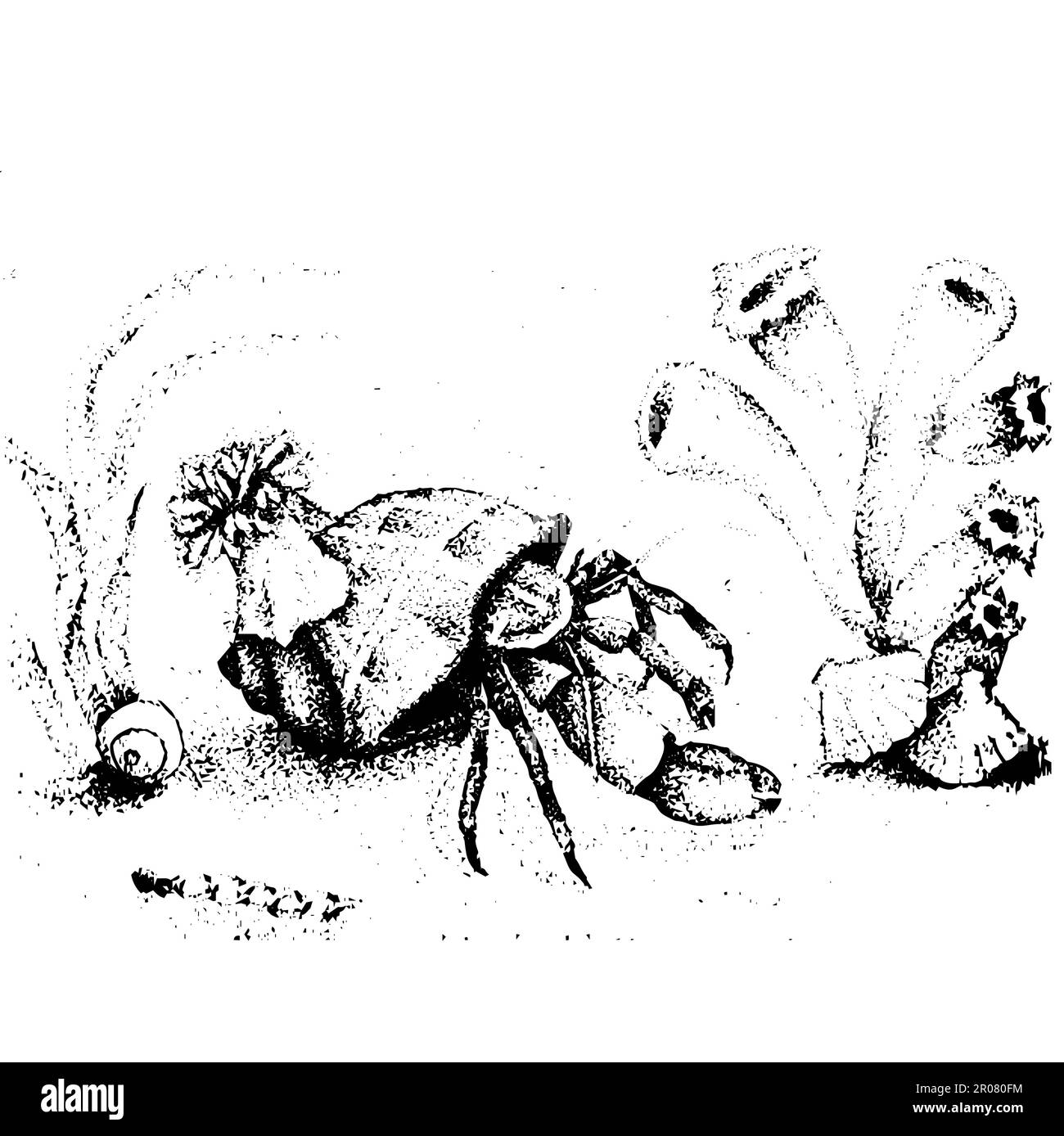 Crab in vector in the ocean, sea life Stock Vector Image & Art - Alamy