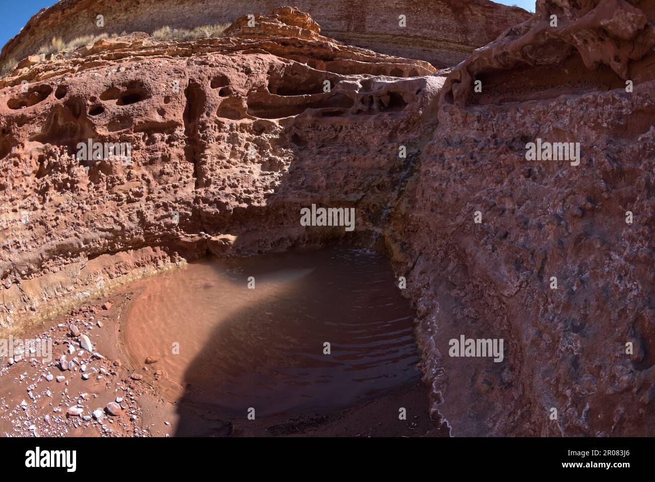 Below a waterfall in the North Fork of the Lower Soap Creek Canyon in