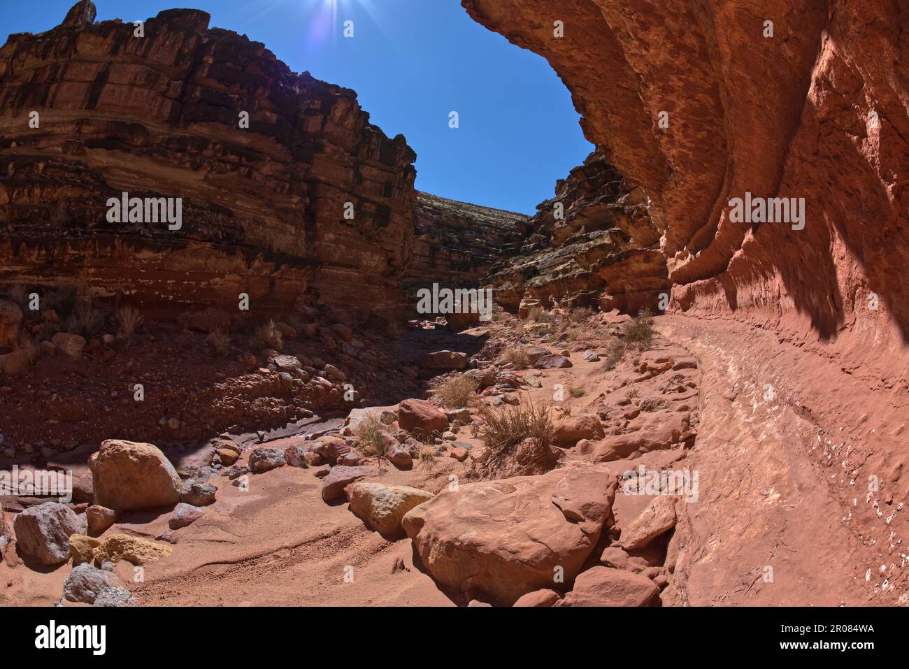 A narrow bend in the south fork of Soap Creek Canyon at Marble Canyon
