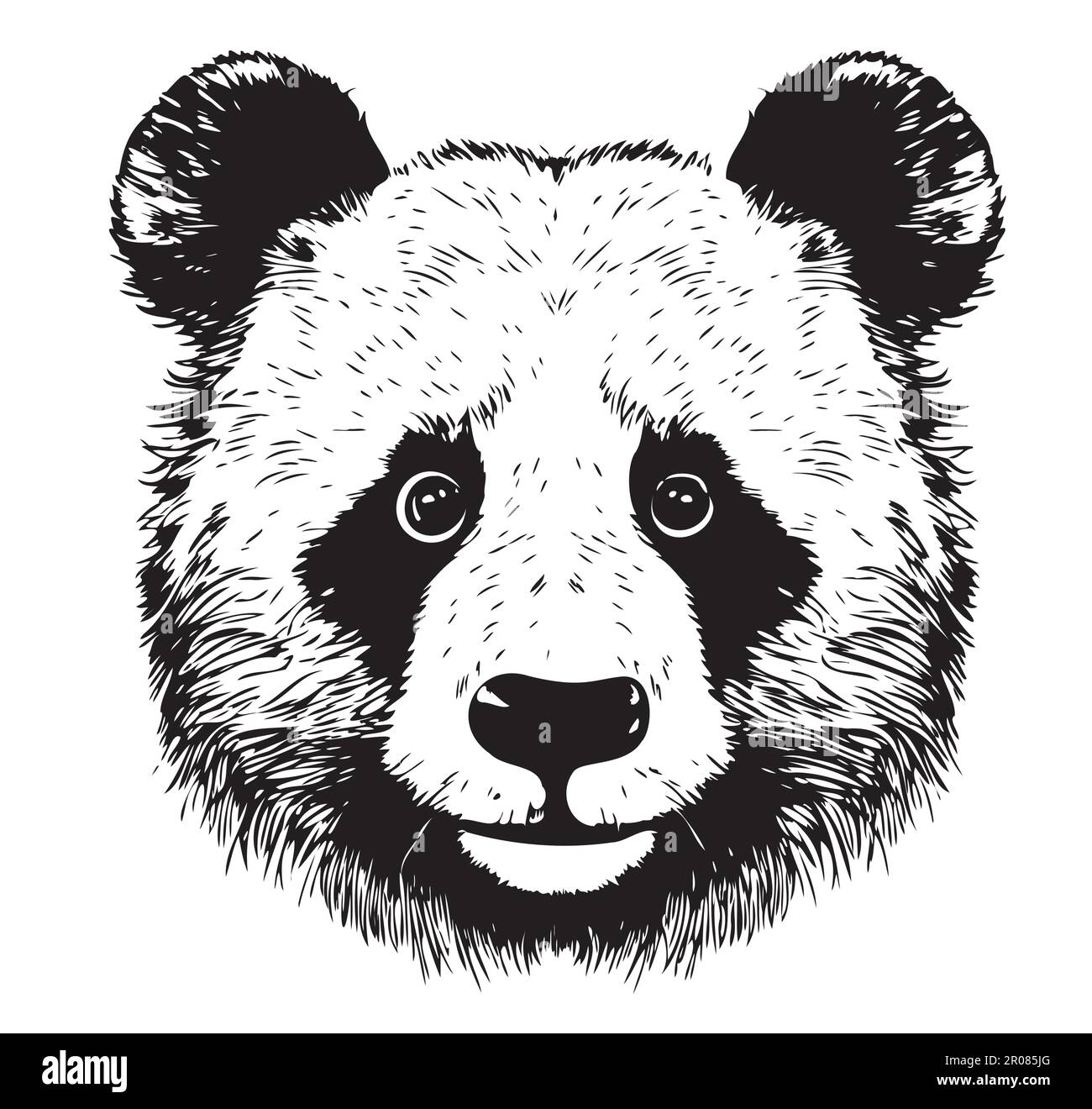 Panda head sketch hand drawn in doodle style illustration Stock Vector