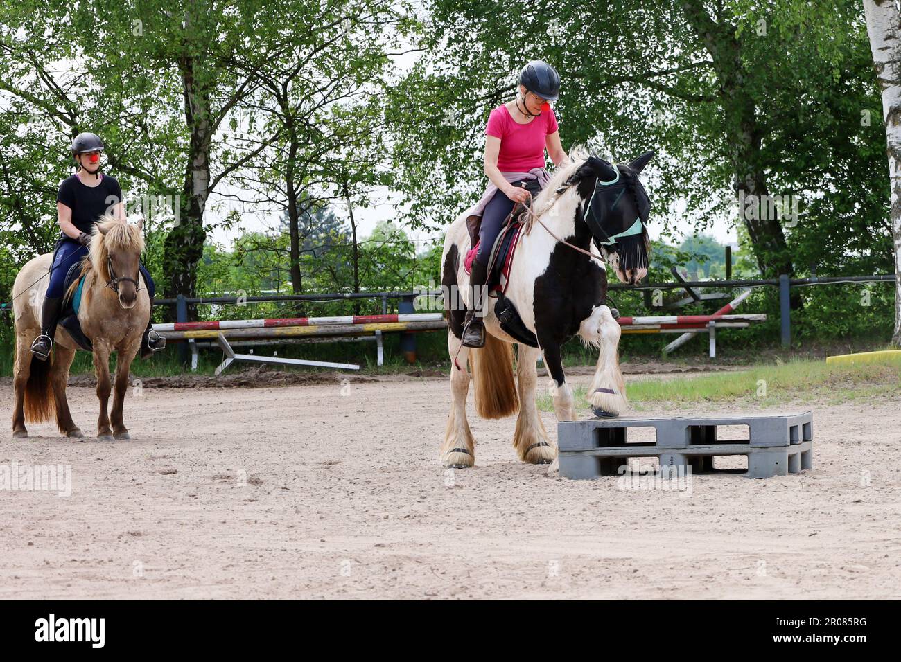 Horse event, rider Stock Photo - Alamy