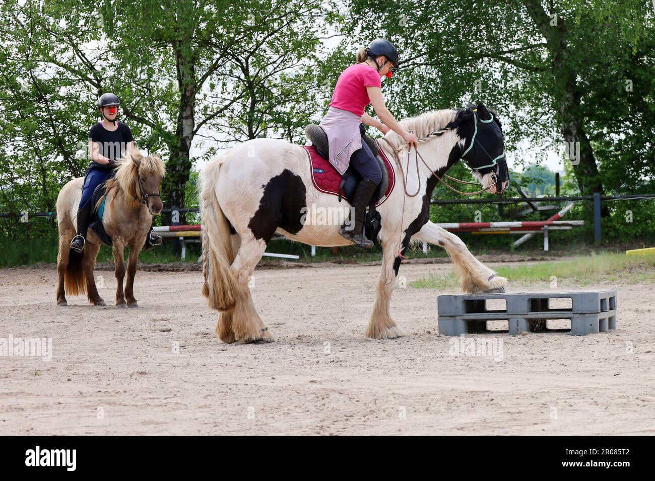 Even Rider Horse event, rider Stock Photo - Alamy