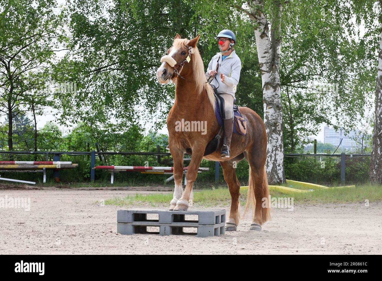 Horse event, rider Stock Photo - Alamy