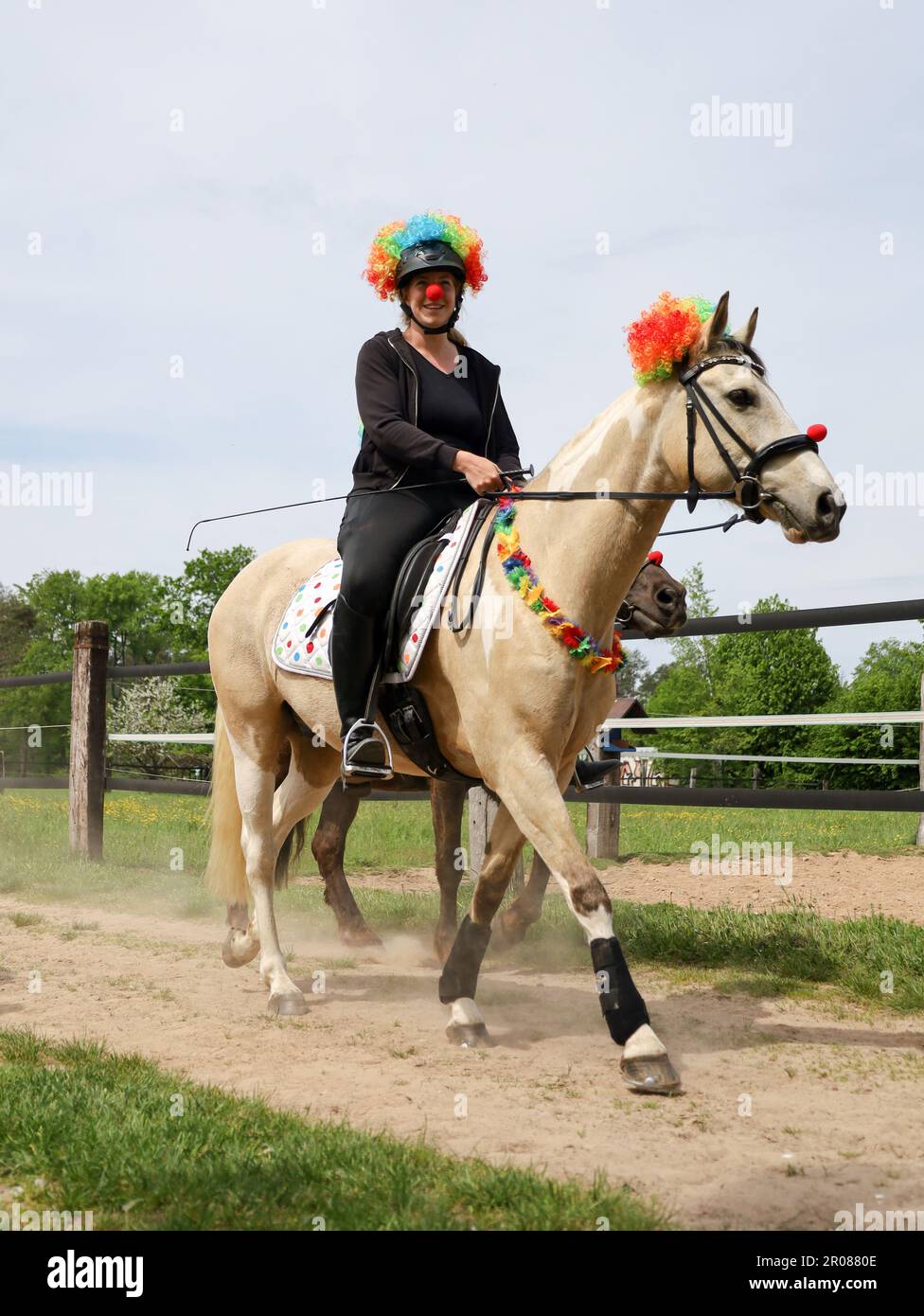 Even Rider Jugesheim hi-res stock photography and images - Alamy
