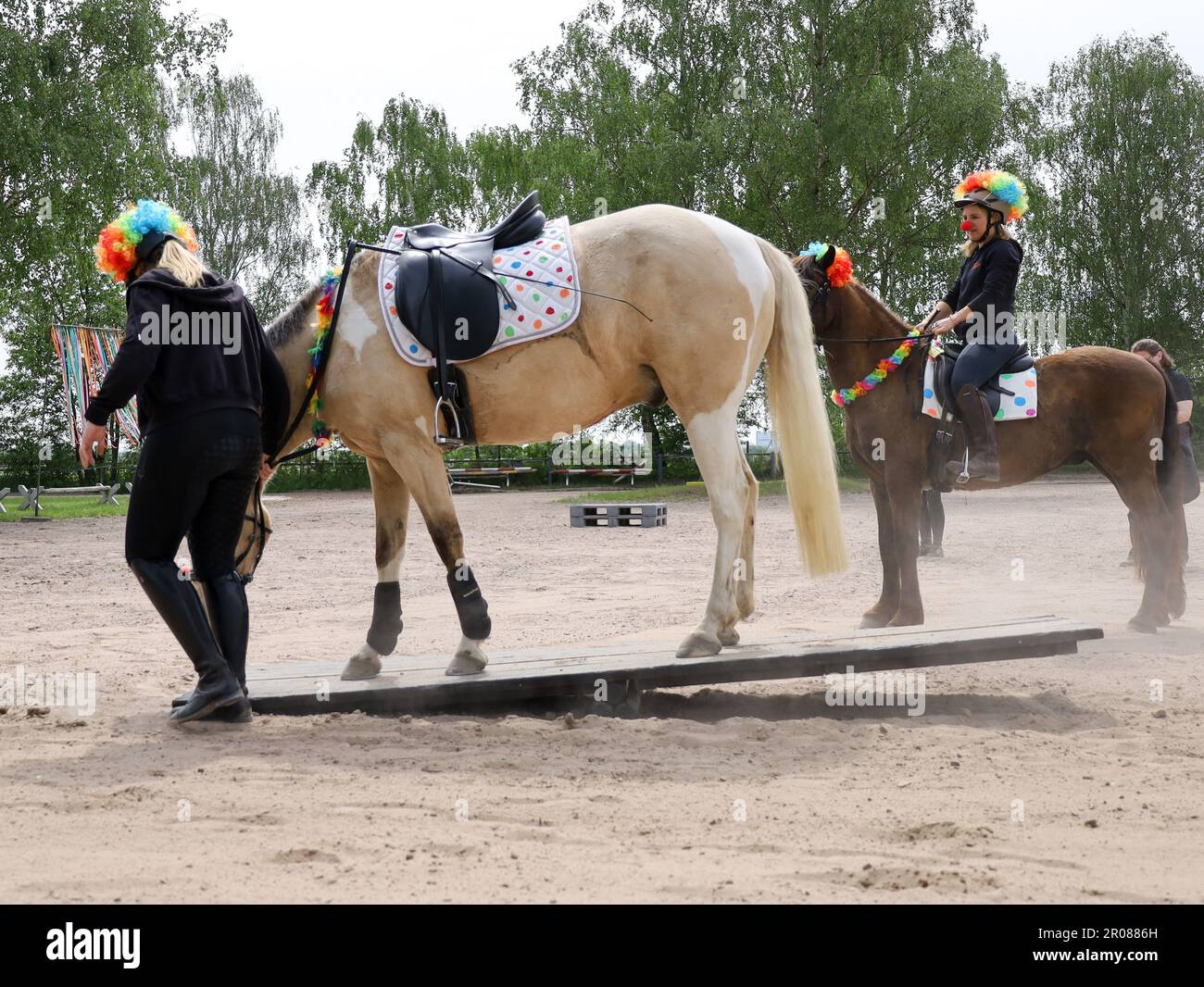 Horse event, rider Stock Photo - Alamy