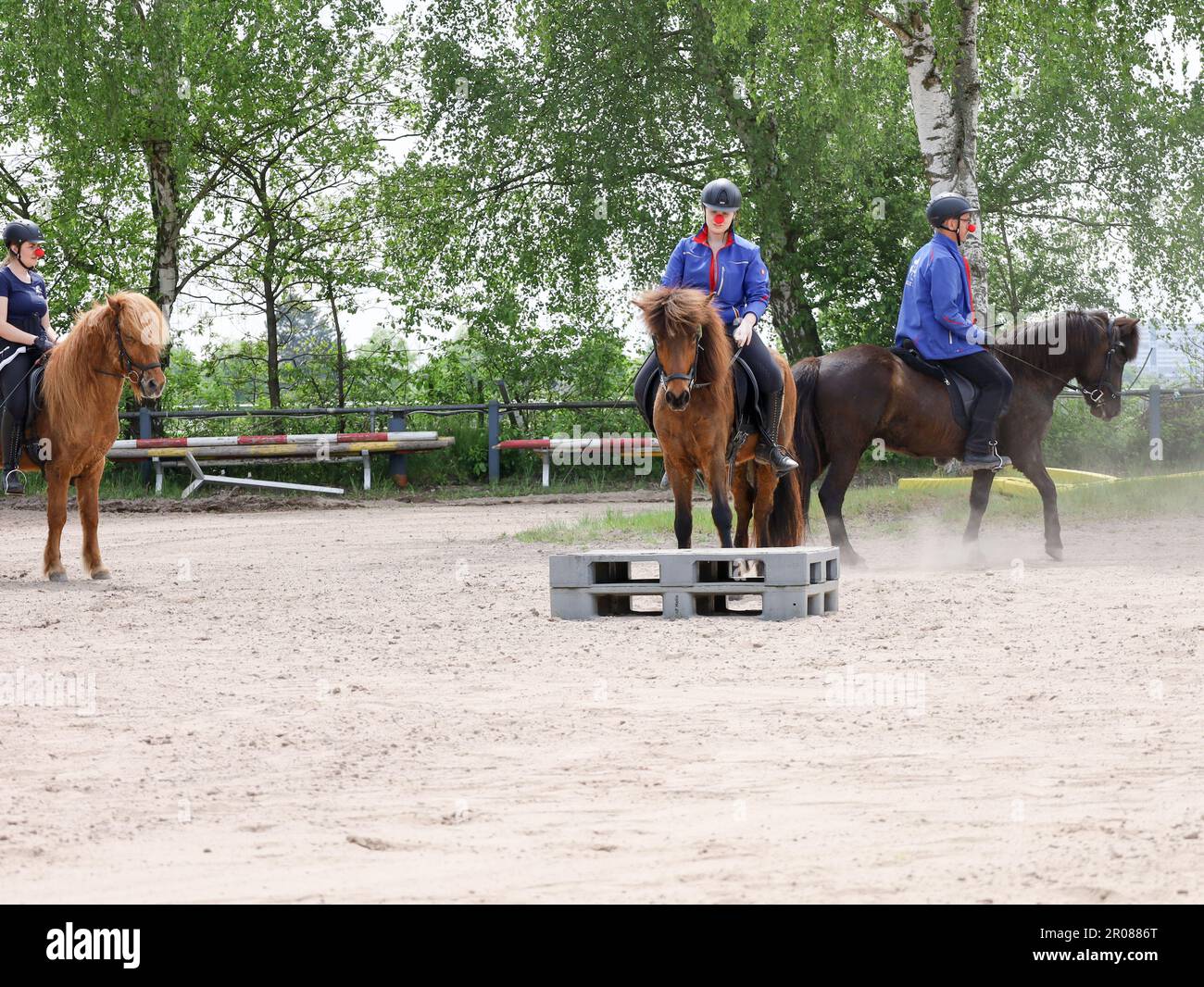 Horse event, rider Stock Photo - Alamy