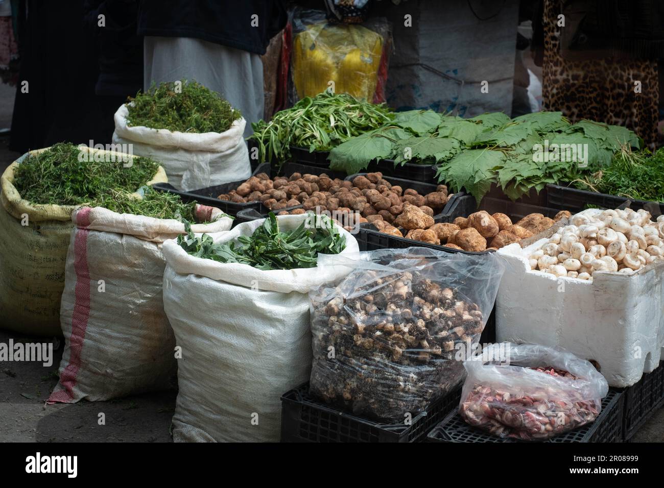 truffle, pile of truffles, mushrooms and herbs on food market Stock Photo
