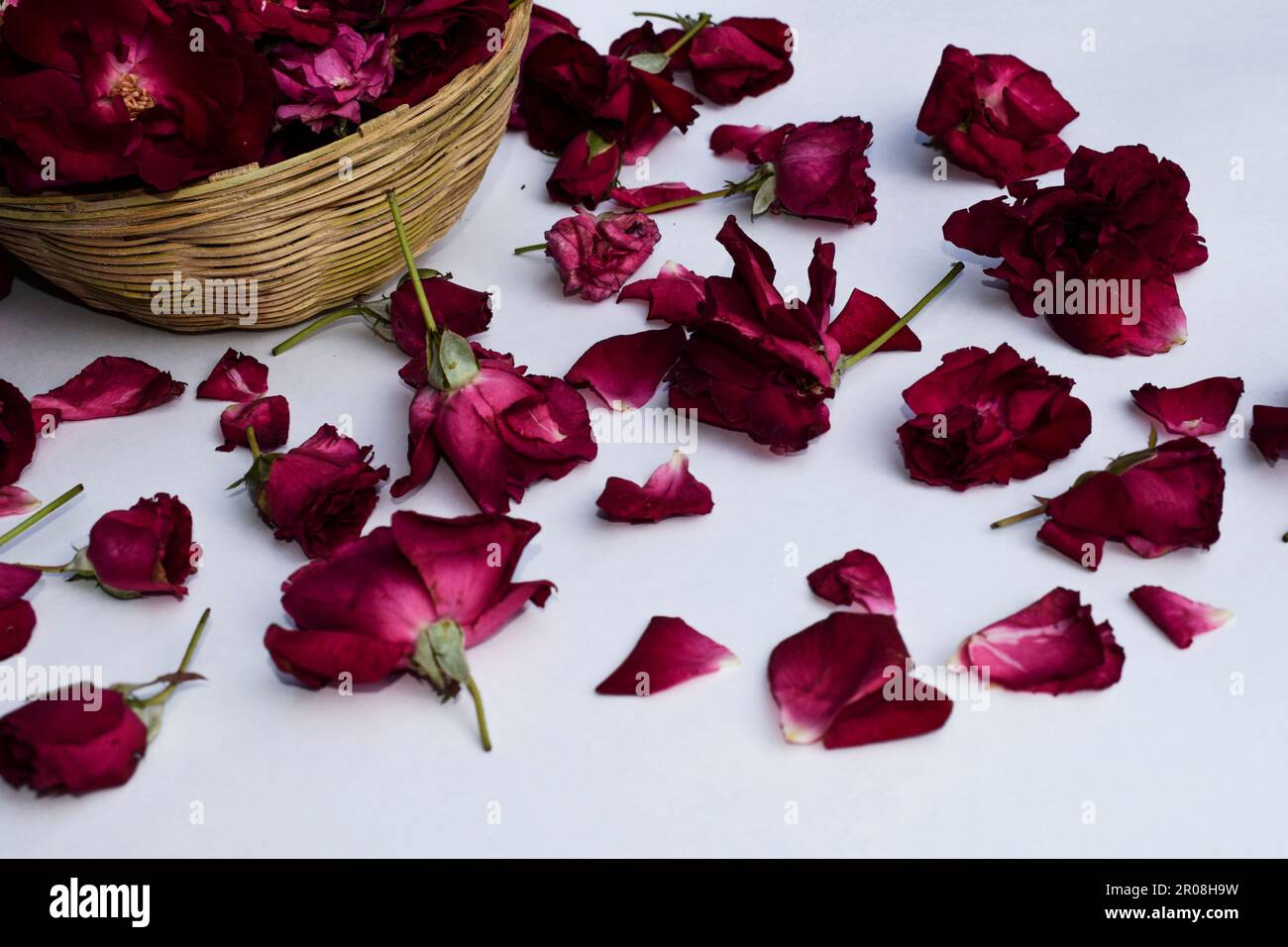 Beautiful stock image of Fresh red rose petals background from Indian