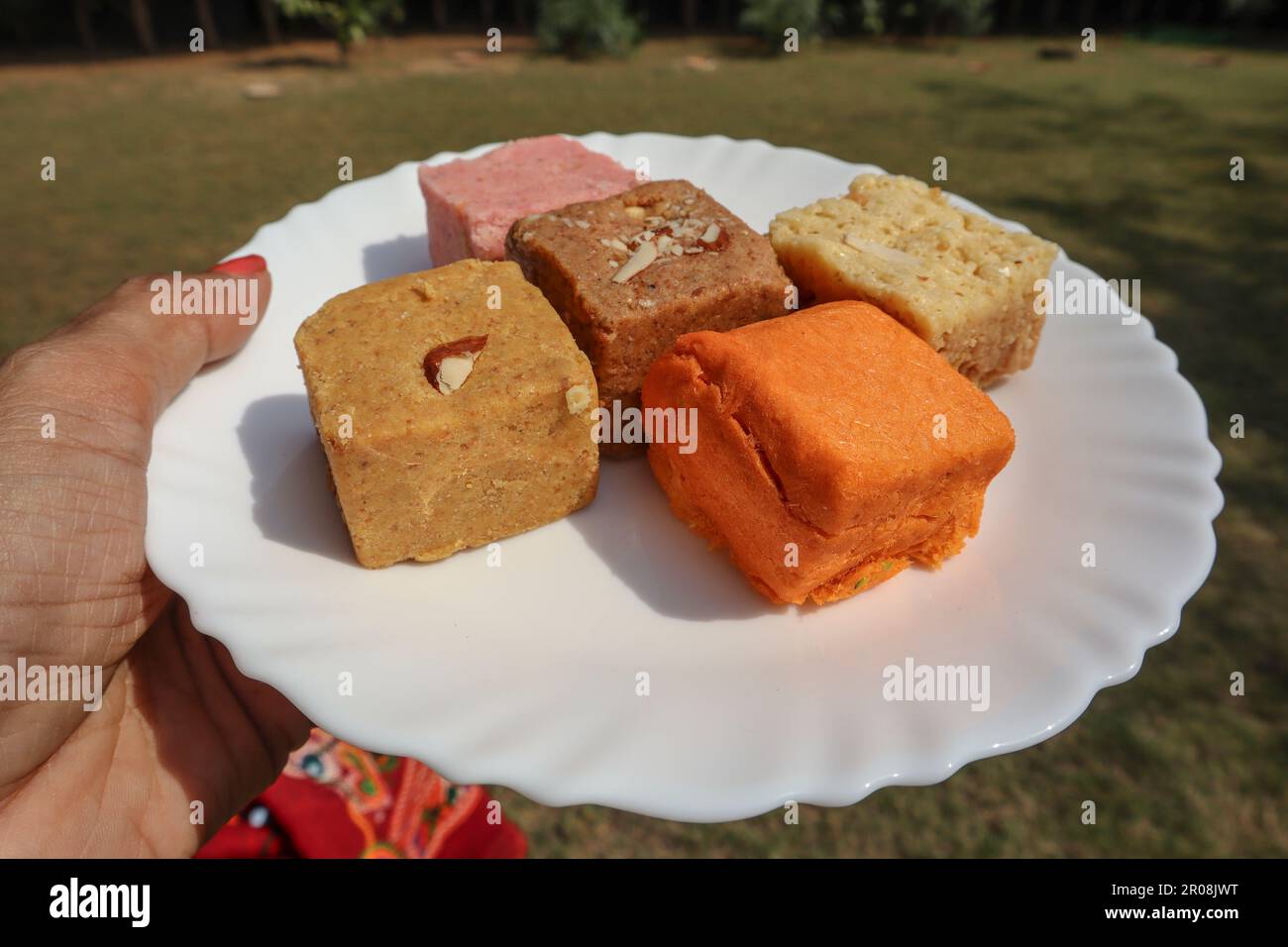 Female holding assorted Indian sweets like barfi, soan papdi, different flavoured barfee Stock Photo
