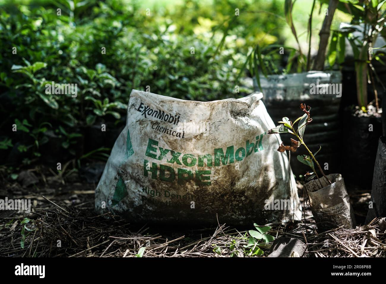 Nakuru, Kenya. 07th May, 2023. A general view of tree seedlings