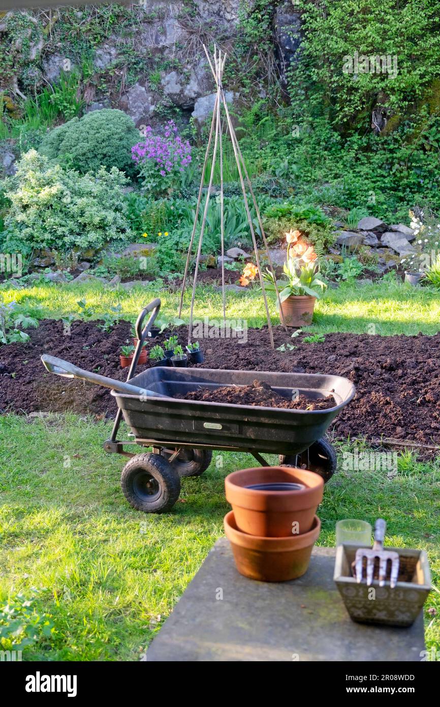 Raised bed in small back country May garden in spring with fresh layer of compost from wagon and rockery in Carmarthenshire Wales UK KATHY DEWITT Stock Photo