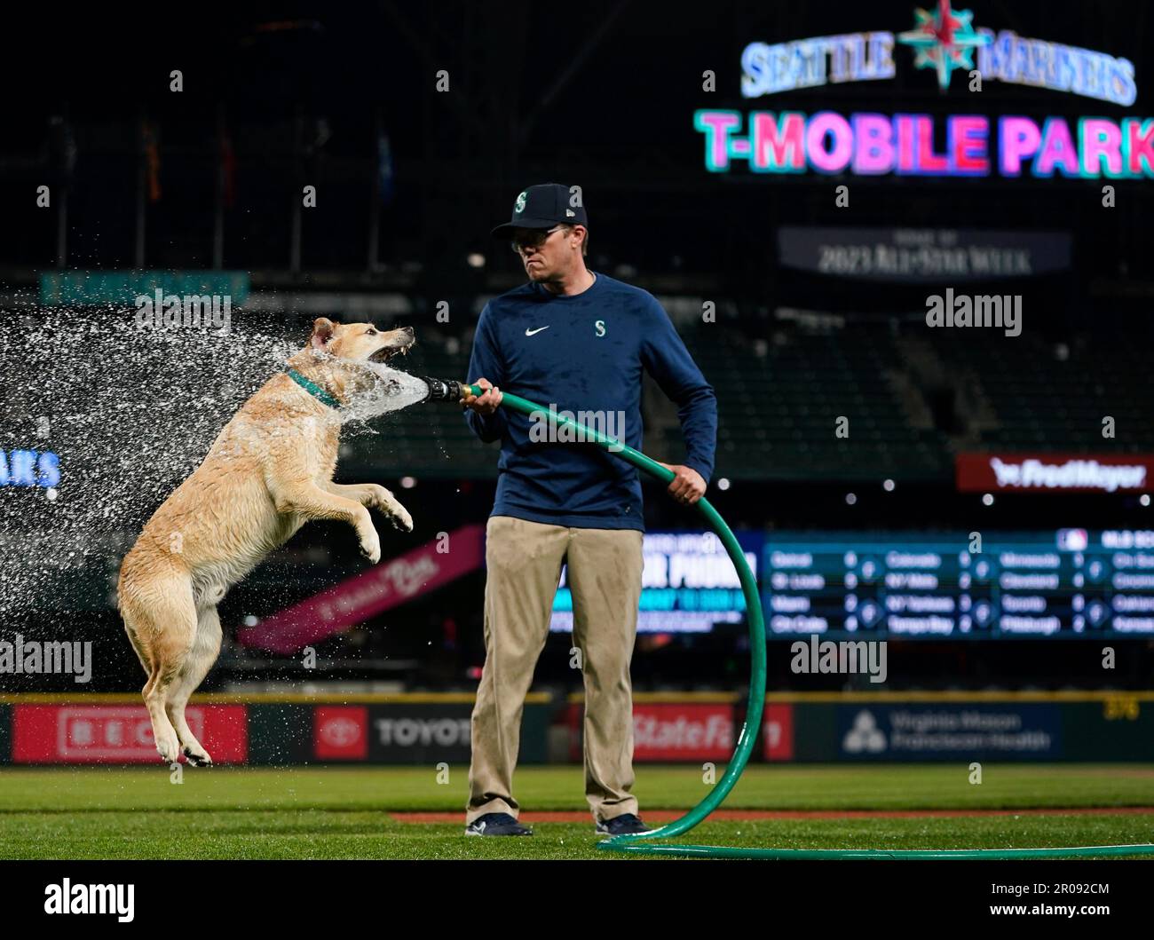 Mariners 'hit a home run' with addition of Tucker, their new clubhouse dog