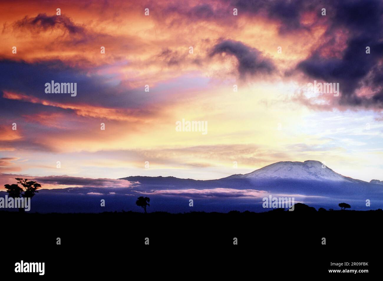 Sunrise over 19,335 foot Mount Kilimanjaro as seen from Arusha National