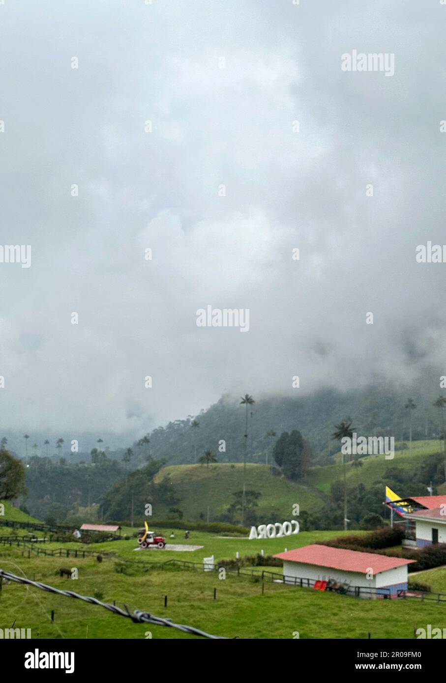 Salento, USA. 20th Feb, 2023. Quindio wax palms dot the landscape in the cloud forest in the Cocora Valley near Salento, Colombia, February 20, 2023. It was the setting for the Disney movie 'Encanto. (Credit Image: © Mark Hertzberg/ZUMA Press Wire) EDITORIAL USAGE ONLY! Not for Commercial USAGE! Stock Photo