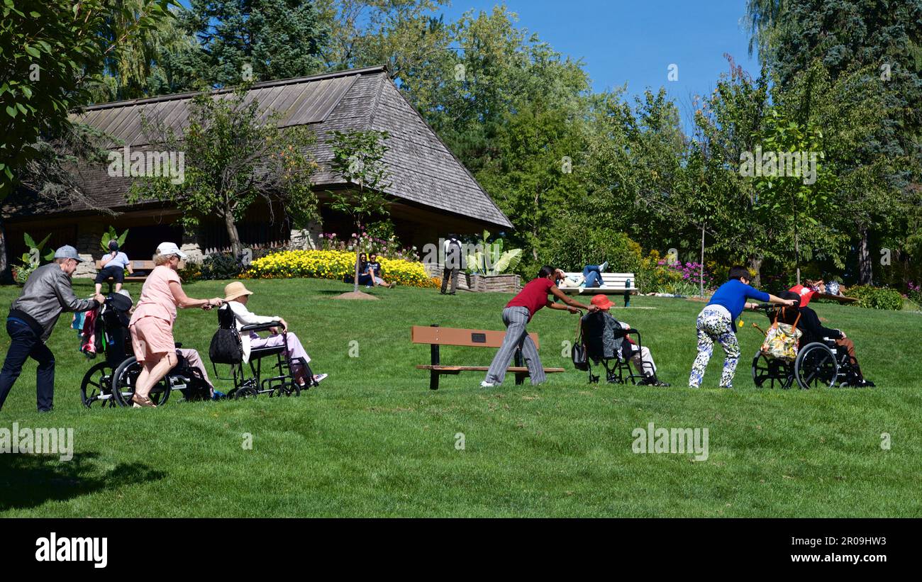 Toronto, Ontario / Canada - Sept 16, 2016: Pushing the wheelchairs of the mature senior people Stock Photo