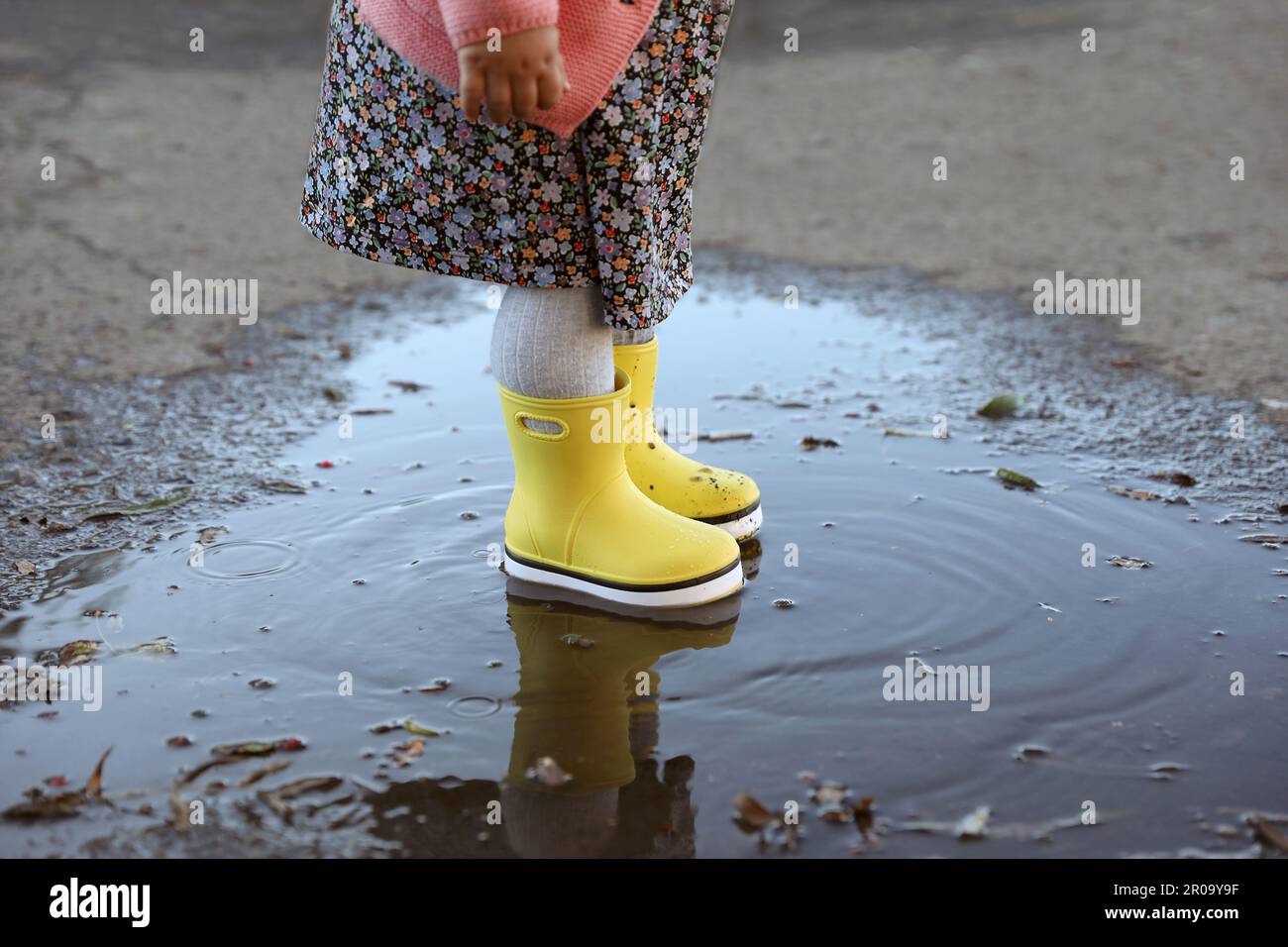 Little girl wearing rubber boots standing in puddle outdoors, closeup ...