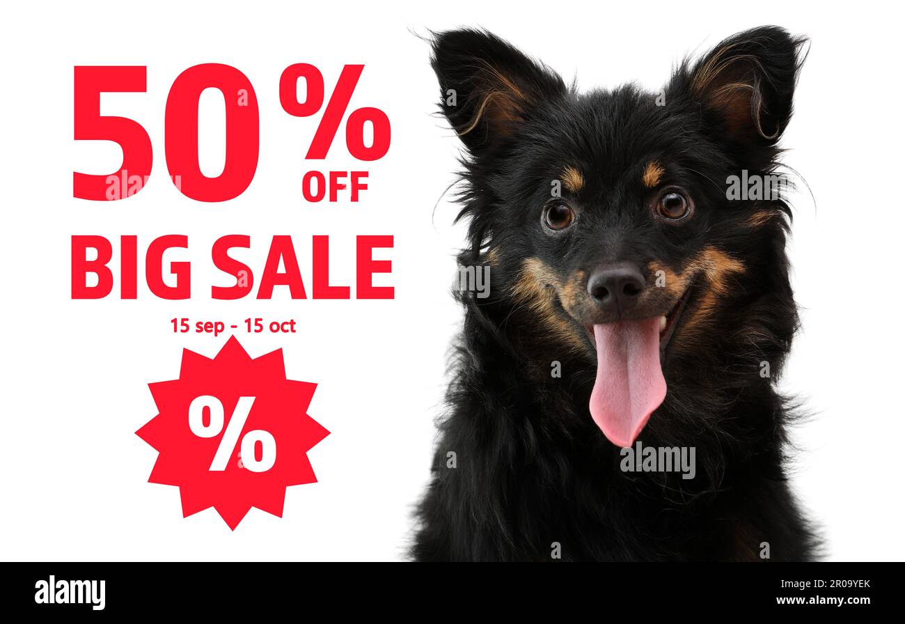 Advertising poster Pet Shop SALE. Cute dog and discount offer on ...