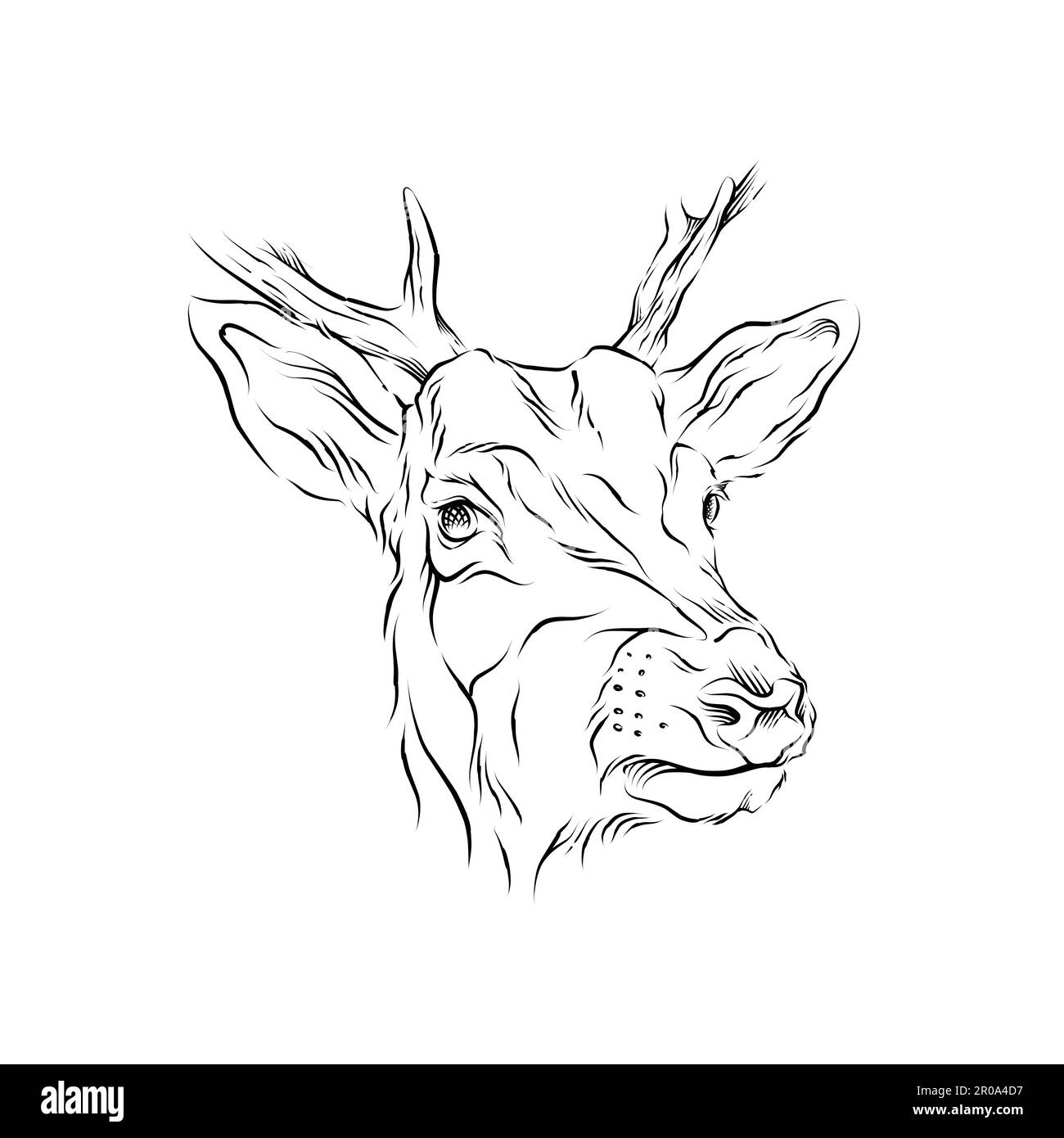 deer vector illustration Stock Vector