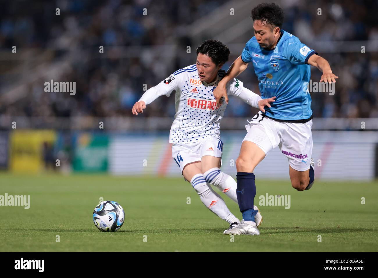 Kanagawa, Japan. 18th Feb, 2023. (L-R) Shuhei Yomoda head coach, Hirotaka  Mita (Yokohama FC) Football/Soccer : 2023 J1 League match between Yokohama  FC - Nagoya Grampus at Nippatsu Mitsuzawa Stadium in Kanagawa